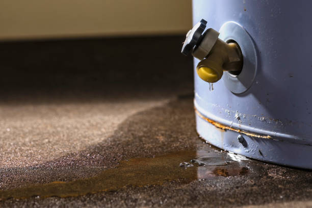 Best 24/7 water damage repair  in Jonesville, VA