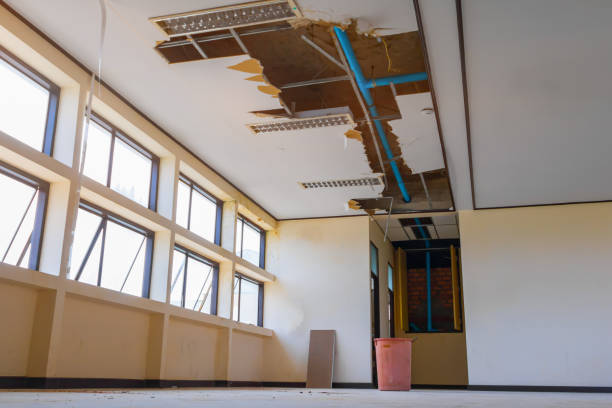 Best Water damage restoration near me  in Jonesville, VA