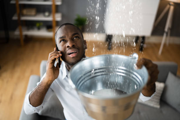 Best Water damage contractors near me  in Jonesville, VA