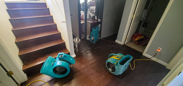 Best Flood damage cleanup  in Jonesville, VA
