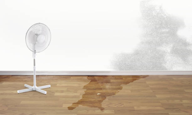 Best Ceiling water damage repair  in Jonesville, VA