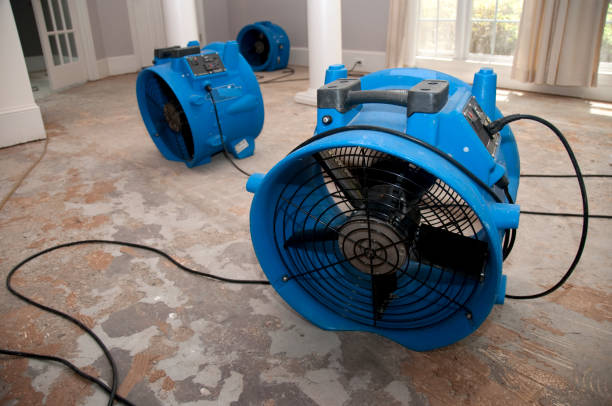  Jonesville, VA Water damage restoration Pros