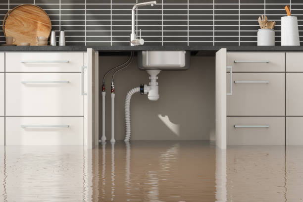 Best Flooded house restoration  in Jonesville, VA