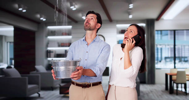 Best Mold removal after water damage  in Jonesville, VA
