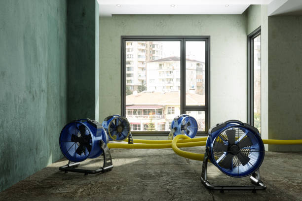 Professional Water damage restoration in Jonesville, VA