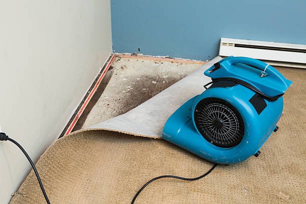 Best Flood restoration services  in Jonesville, VA